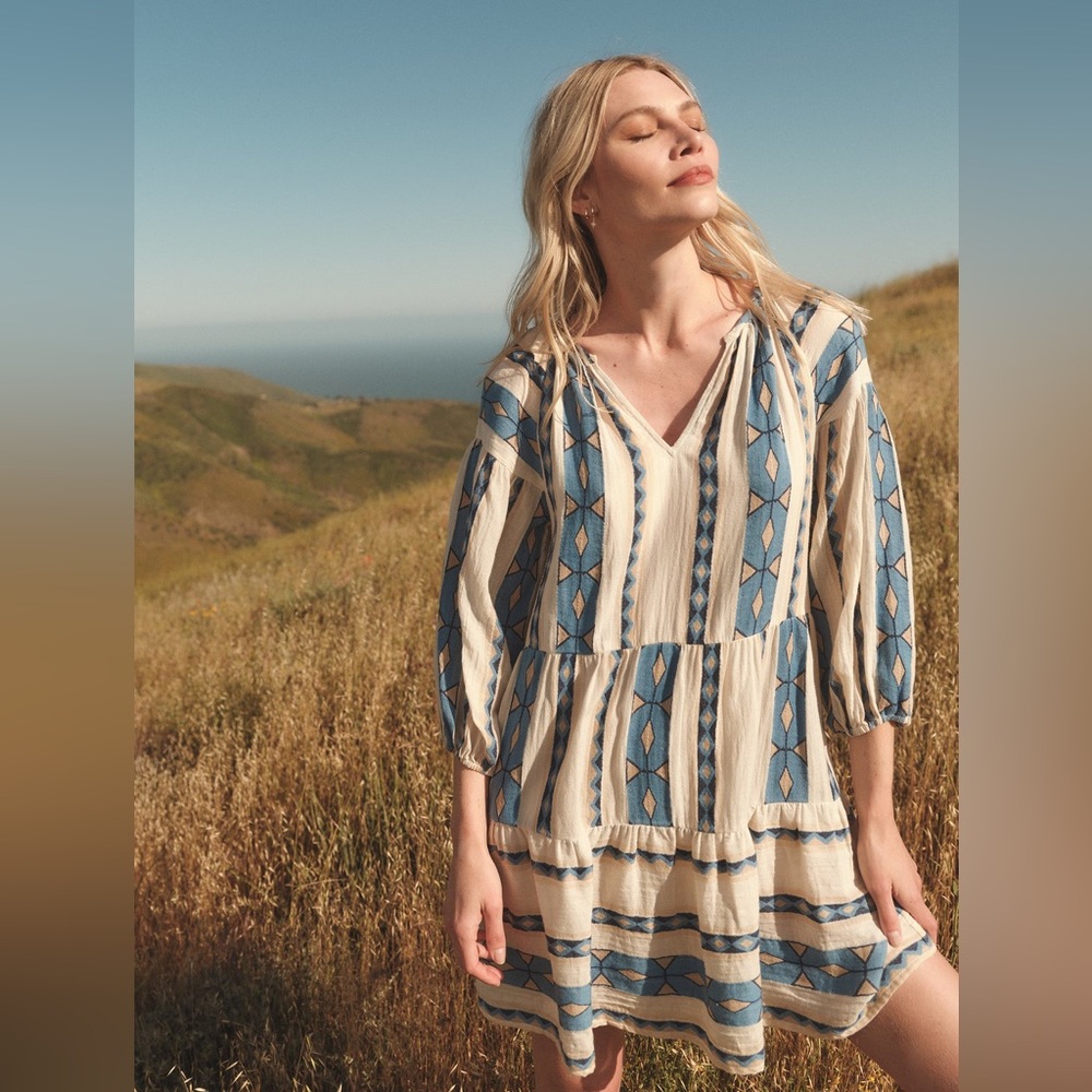 Velvet by Graham & Spencer Blue and Cream Dress